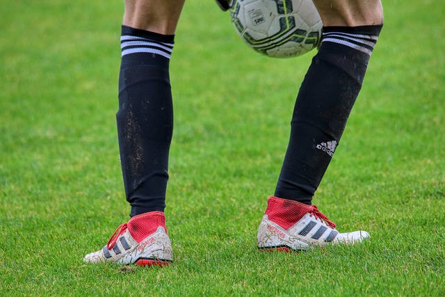 将取决于其 将取决于其