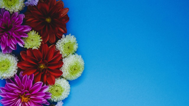 球能力获得 球能力获得