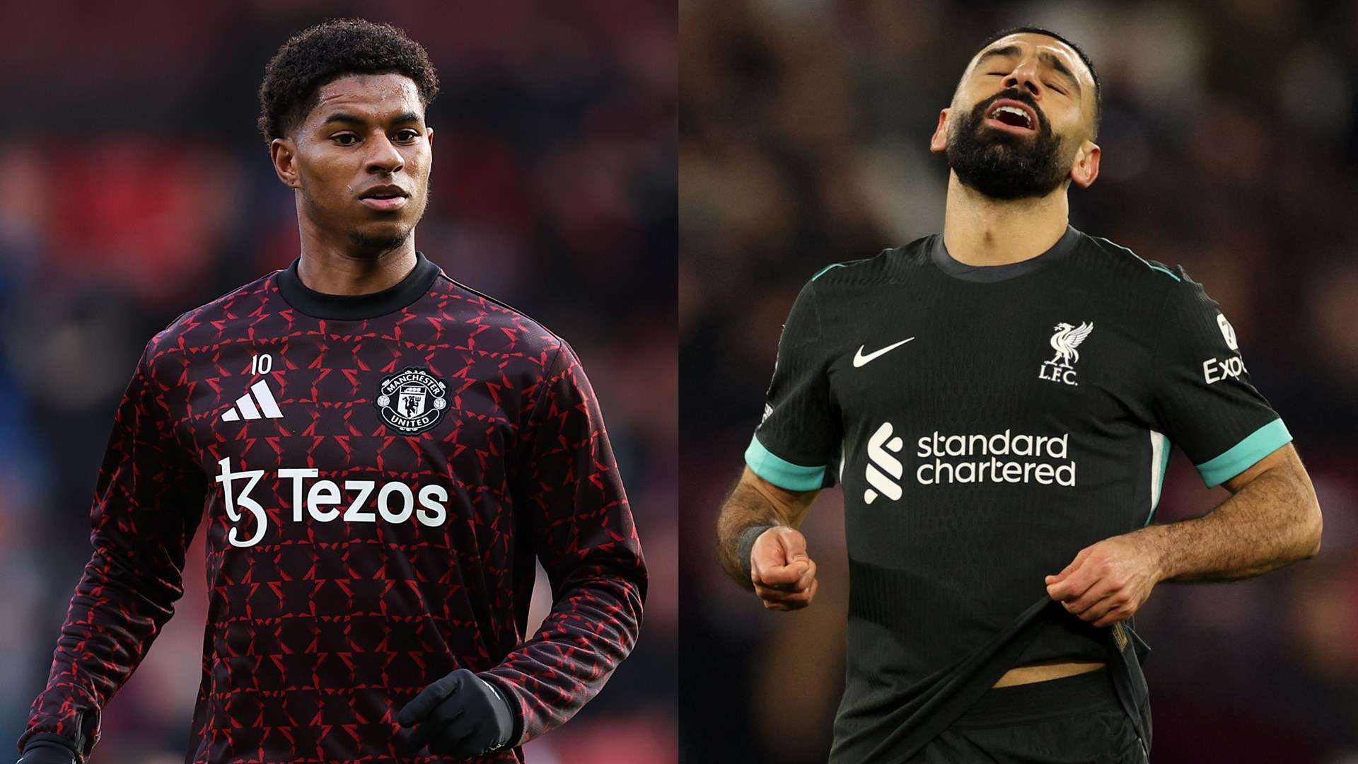 介绍智利的 介绍智利的