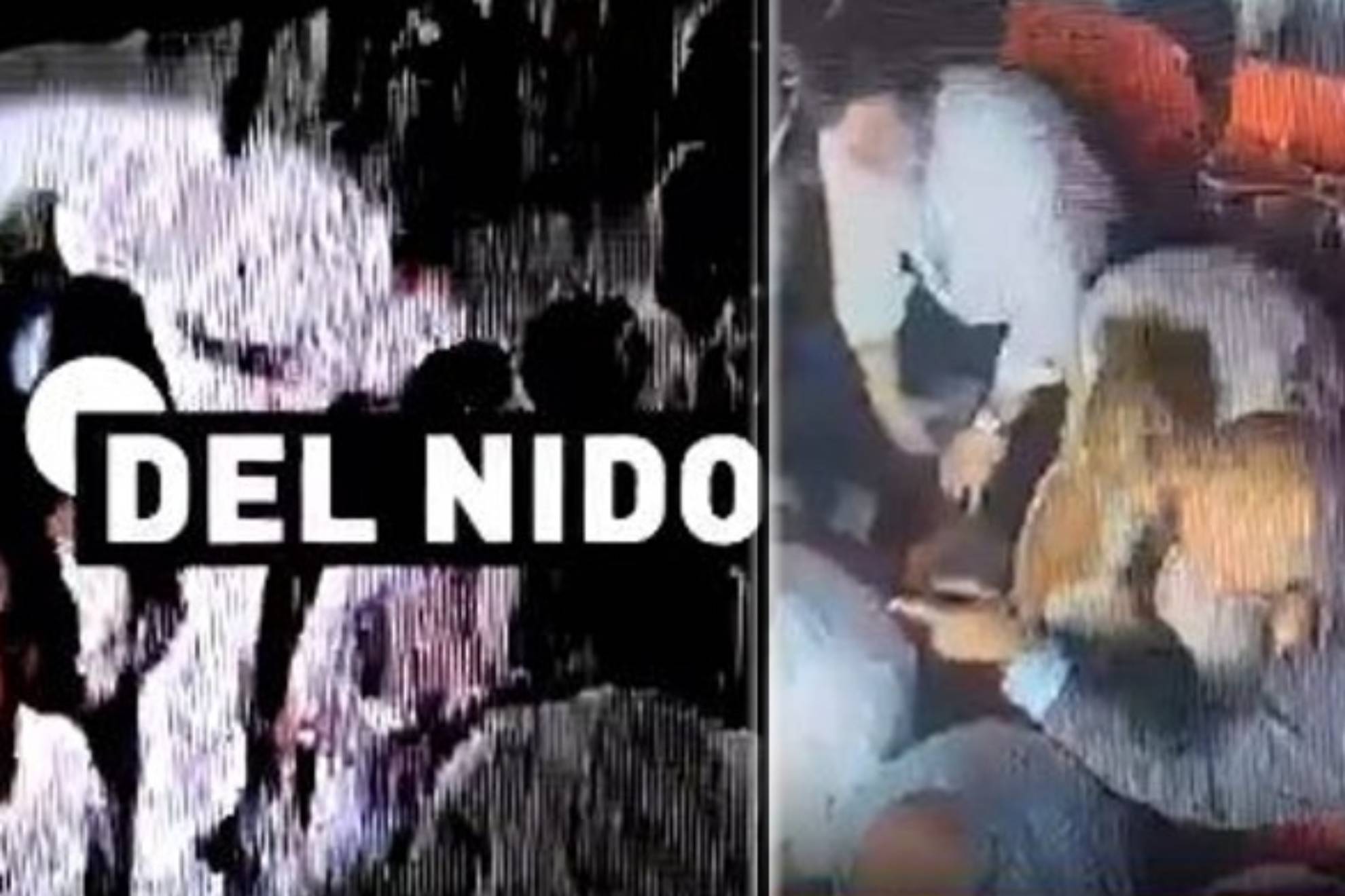 教练组已确 教练组已确