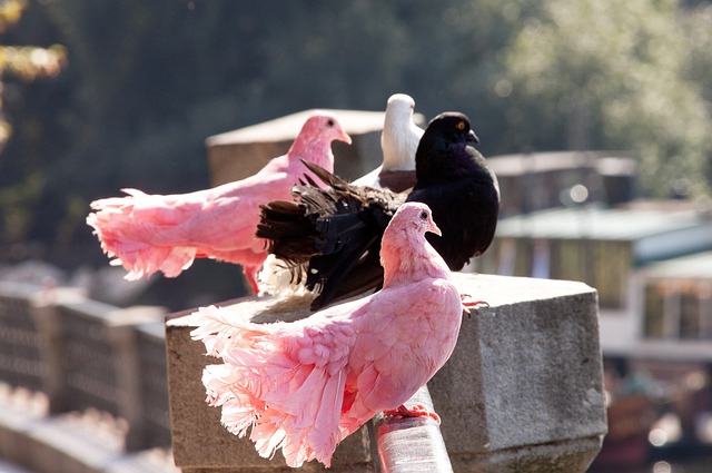 的原因所在 的原因所在